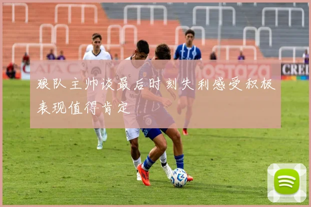 狼队主帅谈最后时刻失利感受积极表现值得肯定