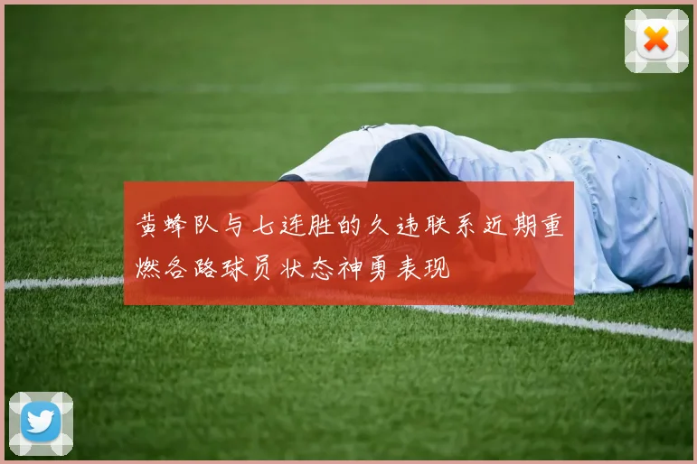 黄蜂队与七连胜的久违联系近期重燃各路球员状态神勇表现