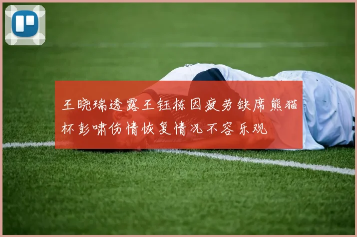 王晓瑞透露王钰栋因疲劳缺席熊猫杯彭啸伤情恢复情况不容乐观